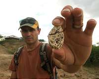 Scientists discover evidence of early human innovation, pushing back evolutionary timeline