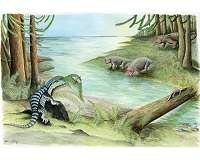 Iguana-sized dinosaur cousin discovered in Antarctica
