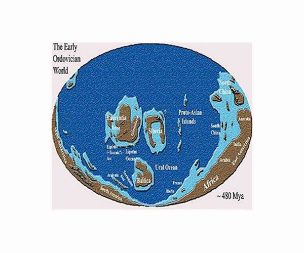 Remains of two new marine worms from 455 million years ago discovered in Morocco