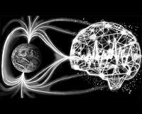 Fast, accurate estimation of the Earth's magnetic field for natural disaster detection