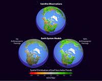 Climate study finds human fingerprint in Northern Hemisphere greening