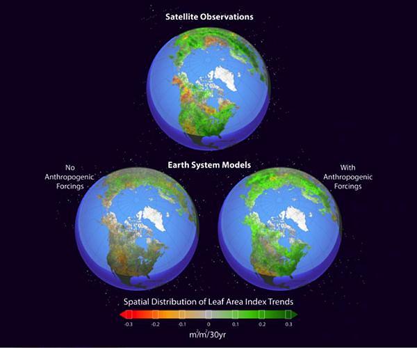 Water limitations in the tropics offset carbon uptake from Arctic greening