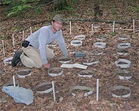 Earthworm Activity Can Alter Forests' Carbon-Carrying Capabilities