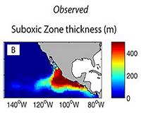 Northern Pacific's tropical anoxic zone might shrink from climate change