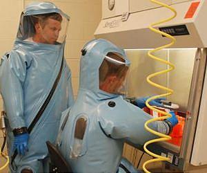 Experimental Ebola treatment protects some primates even after disease symptoms appear