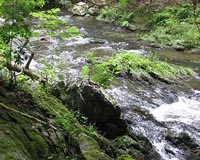 New Research Focuses on Streamwater Chemistry, Landscape Variation