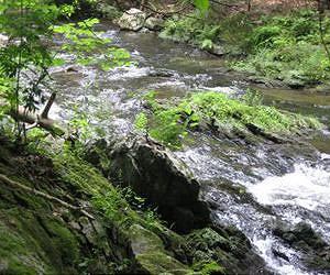 Groundwater Threat To Rivers Worse Than Suspected