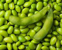 One step closer to commercial edamame production in the US