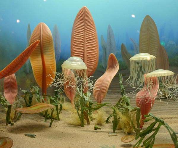Research shows we're surprisingly similar to Earth's first animals