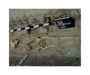 Early human burials varied widely but most were simple