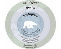 Contaminants also a threat to polar bears