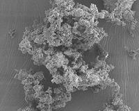 Tooth fillings of the future may incorporate bioactive glass