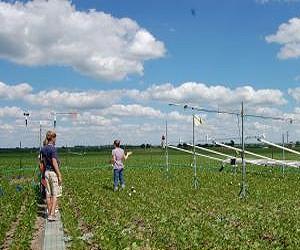 'Business As Usual' Crop Development Won't Satisfy Future Demand