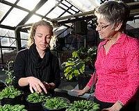 Bright pulses of light could make space veggies more nutritious