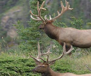 Human impacts on natural world underestimated