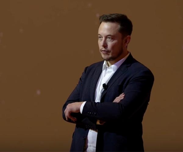 Musk says doing 'best' to boost birth rates