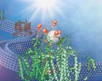 Protein-powered device generates electricity from moisture in the air