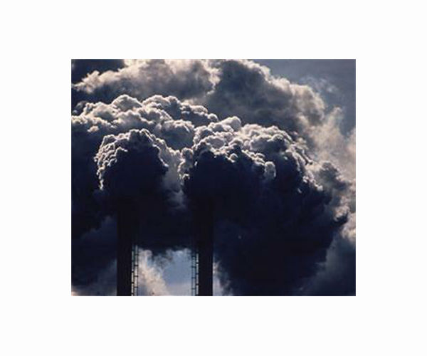 Emissions fell record 7 percent in 2020: study