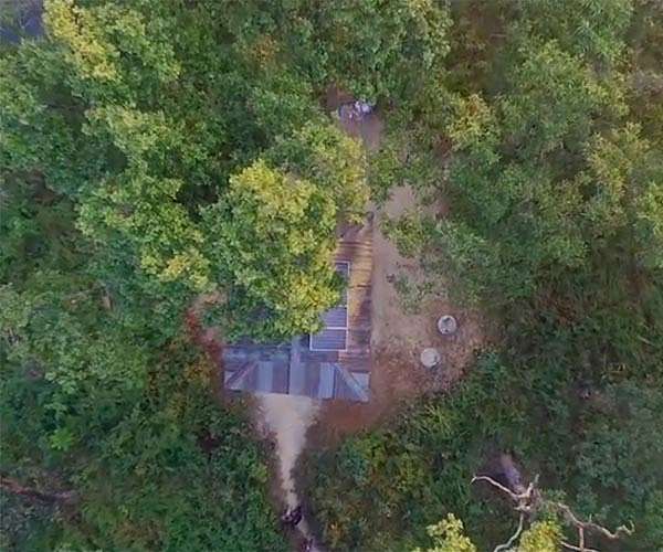 Indigenous land rights help protect Brazil's forests
