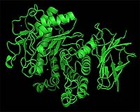 Iowa State Researcher Studies How Enzymes Break Down Cellulose