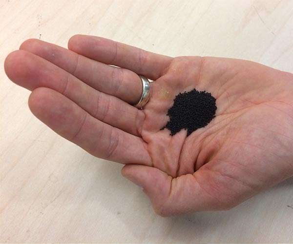 Bisphenol A detected in almost all Europeans: report