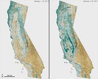 California Landscape is Mix of Green and Brown