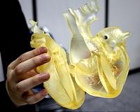 Toying with the Heart, and Other Body Parts