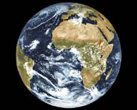 Future of green is not so black, say some