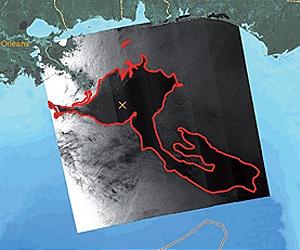 Bluefin Tuna Hit Hard By Deepwater Horizon Disaster