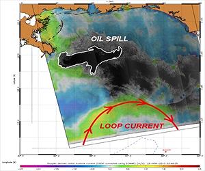 Obama warns new oil leak cap method 'not without risk'