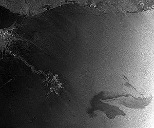High-tech mapping could show Gulf oil impacts: expert