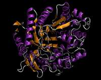Enzyme boost could hasten production of biofuels and other bioprocessed materials