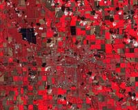 Harnessing rich satellite data to estimate crop yield