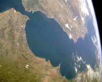 Mediterranean's rich marine life under threat: study
