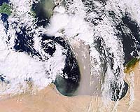 Libya wants to buy Canadian oil firm assets
