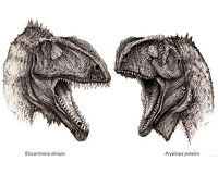 New Meat-Eating Dinosaur Duo From Sahara Ate Like Hyenas And Sharks