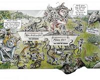 Tooth fossils fill 6-million-year-old gap in primate evolution