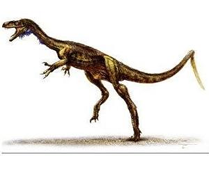 Dating The Dawn Of The Dinosaurs
