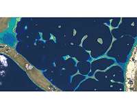 What's behind the ground-breaking 3D habitat map of the Great Barrier Reef