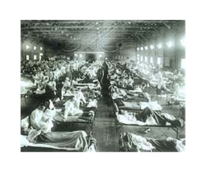 1918 and 2009 flu similarity could help yield vaccine: study