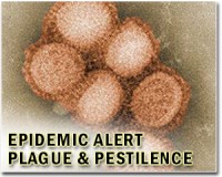15 emerging technologies that could reduce global catastrophic biological risks