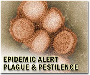 Flu pandemic differences produced 'confusion': WHO probe