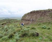 How soil carbon feedbacks could affect climate change