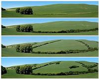 Conservation looks good too