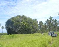 Finding The Largest Tsunami Debris On The Planet