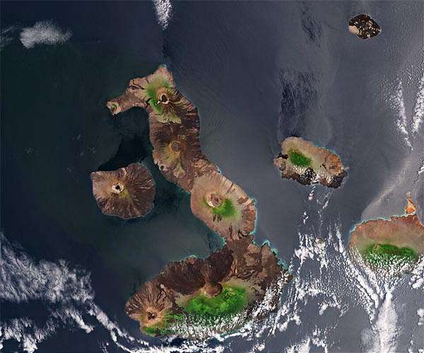 Humans significantly altered biodiversity on islands, study shows