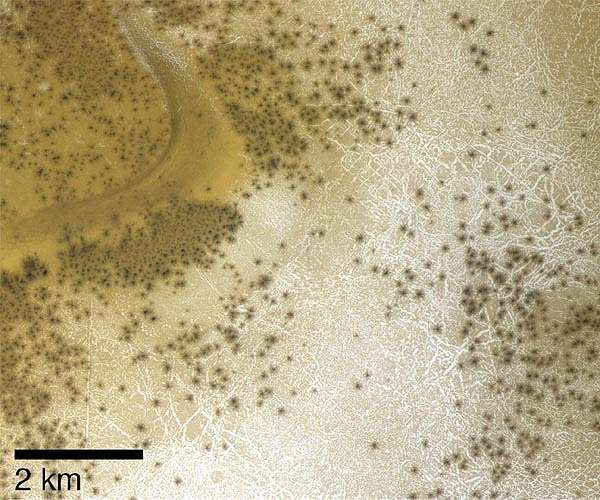 Frosty scenes in martian summer