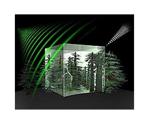Tools For Re-Engineering Biomass Composition