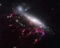 Supermassive black holes feed on cosmic jellyfish