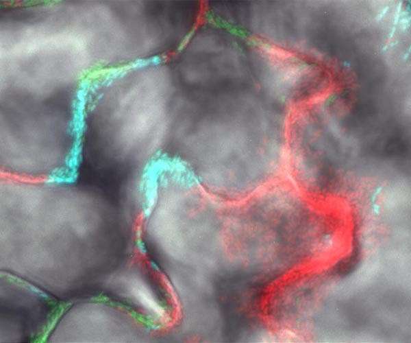 Unlocking the power of the microbiome